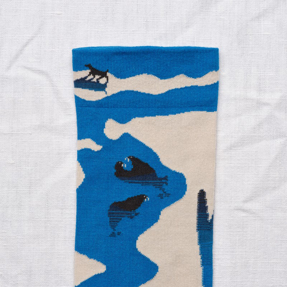 Banquise Sock