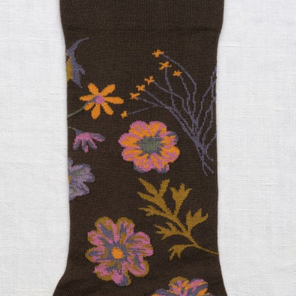 Herbier Sock