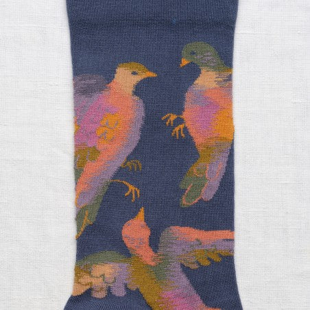 Oiseaux Sock